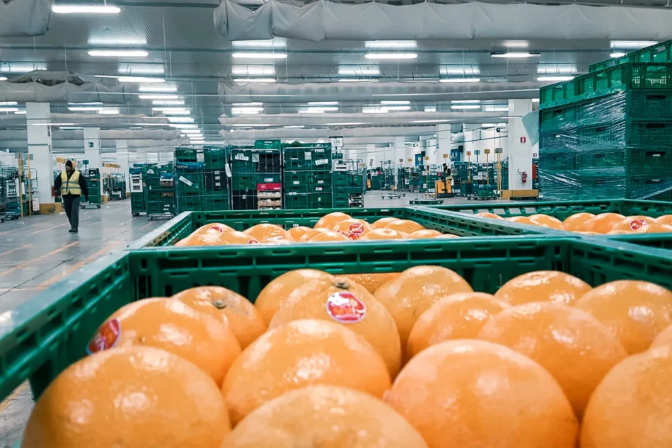 Food & beverage retail